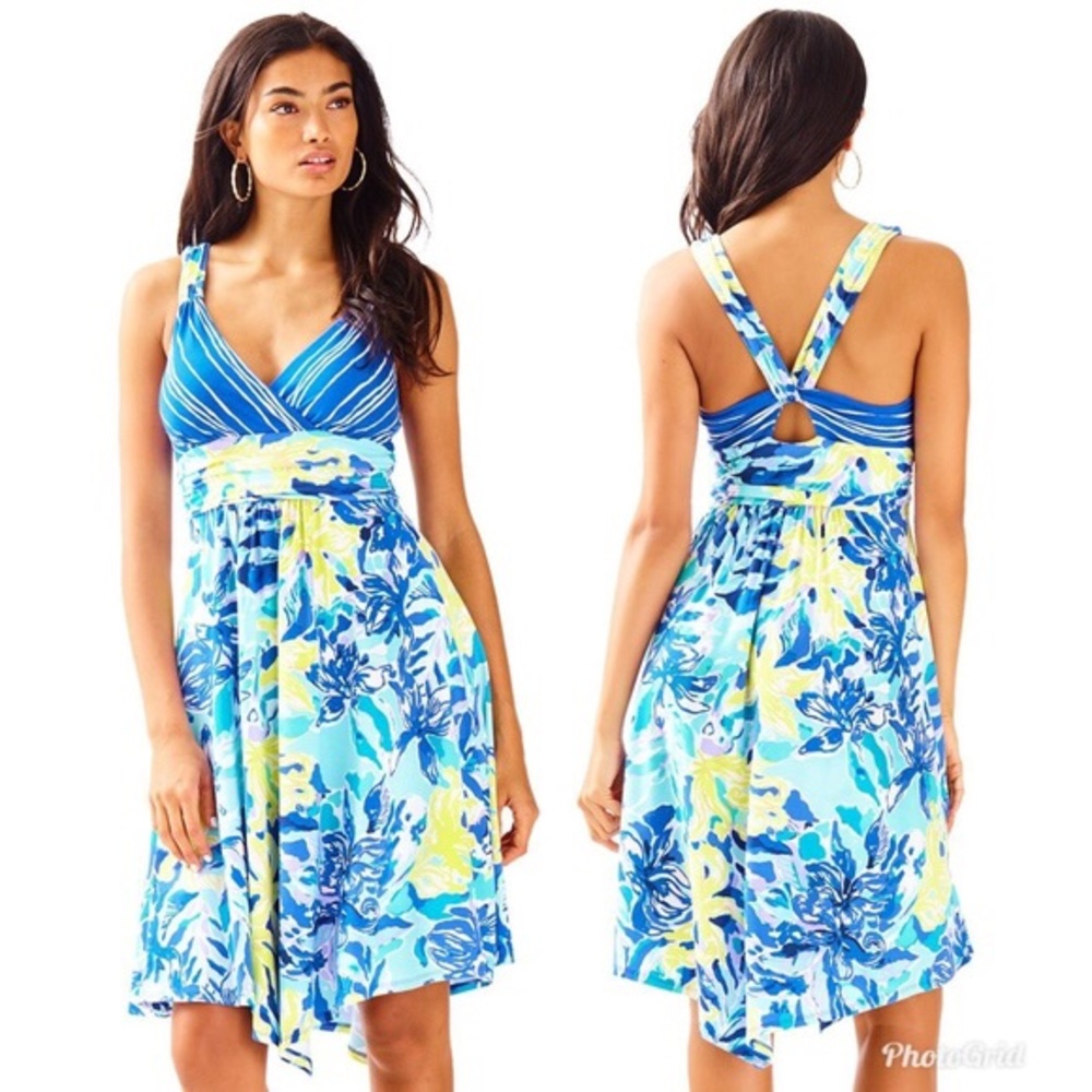 EUC Lilly Pulitzer Hadley Fit and Flare Dress